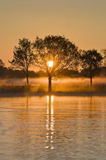 Broads: Misty Sunrise over Hickling Broad - Norfolk UK