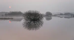 Bogland: Misty sunrise reflected in the mirror like surface