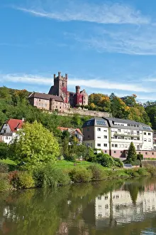 Neckar: The Mittelburg (Middle Castle) and Neckar