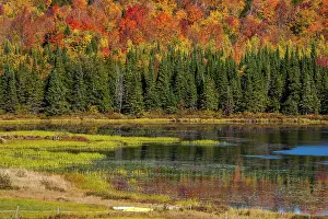 Blaze: Mixed forest, lake, Eastern Townships, South Bolton