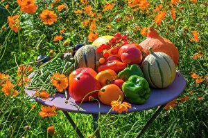 Kidney: Mixed summer fruits and vegetables, Provence, France