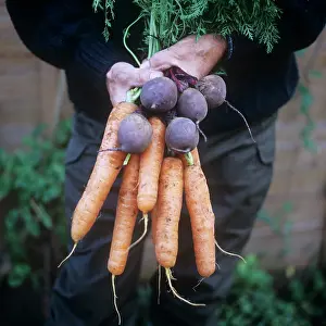 Adoring: Mixed Vegetables
