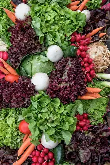Carrot: Mixed vegetables with carrots, cabbages, radishes