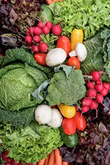 Carrot: Mixed vegetables with carrots, cabbages, radishes