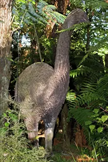 Models: Moa Reconstruction - life size model of extinct Mo