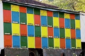 Trailer: Mobile beehives on trailer in the old saxon village of Crit
