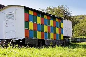 Trailer: Mobile beehives on trailer in the old saxon village of Crit