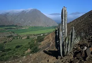 Irrigation: Moche River Valley