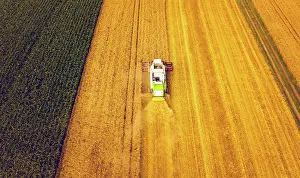 Working: A modern combine harvester working on wheat field