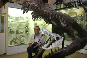 Comparison: Modern and prehistoric Alligator skulls