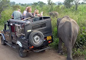 Jeep: Modern tourism- jeep safari looking for elephants
