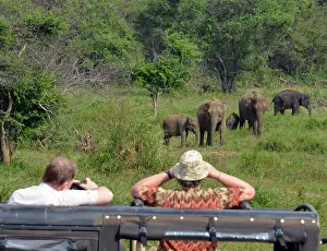 Jeep: Modern tourism- jeep safari looking for elephants