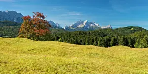 Local: Mogul meadows between Mittenwald and Kran, Werde