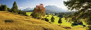 Werdenfelser: Mogul meadows between Mittenwald and Kran, Werde