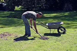 Moles: Molehills - man removing molehills from lawn