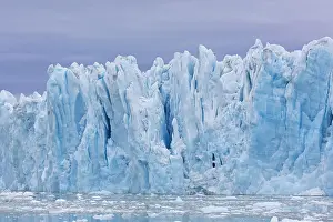 Circle: Monacobreen, glacier in Haakon VII Land which debouches into