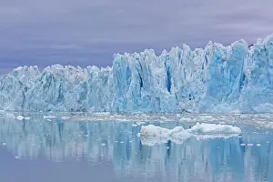 Circle: Monacobreen, glacier in Haakon VII Land which debouches into