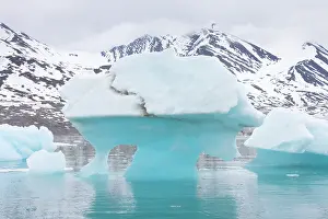 Climate Change: Monacobreen ice floe