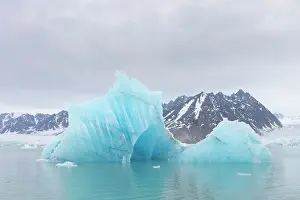 Climate Change: Monacobreen ice floe