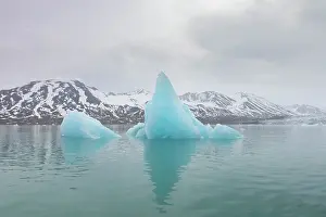 Climate Change: Monacobreen ice floe