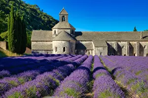 Lavender: Monastery, Cistercian Abbey Abbaye Notre-Dame de