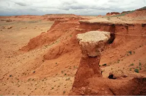Dinosaur: MONGOLIA - Bayan Dzag / Flaming Cliffs