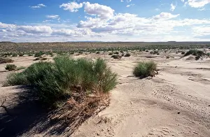 Gobi: MONGOLIA - Gobi Desert at Tugregiin Shiree