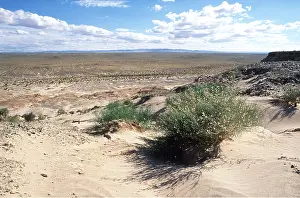 Gobi: MONGOLIA - Gobi Desert at Tugregiin Shiree