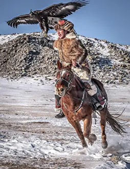 Obedient: Mongolian eagle hunter, Kazakh rides horse with
