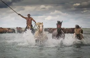 Nomadic: Mongolian horseman at Buir lake. Dornod province