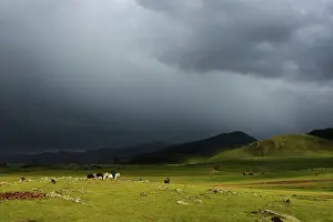 Steppes: Mongolian horseman in the desert under a stormy sky-Mongolia