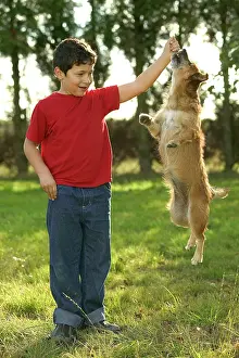 Tricks: Mongrel Dog - jumping to get treat held by boy