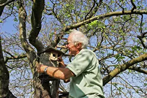 Monitoring: Monitoring of a birdhouse in a garden