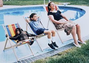 Jack: Monkey in company at the swimming pool, England, G