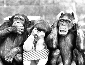 Child: Two monkeys with child, see nothing, hear nothin