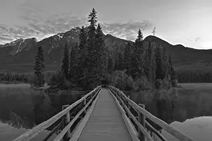 Bridge: Monochrome scene with bridge leading to forest