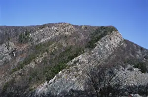 Fold: Monoclinal Ridge on Mt. Tammany