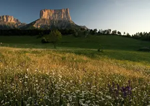 Aiguille: Mont Aiguille at dawn, with hay meadow