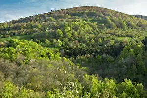 Slopes: Montagne de la Frau wooded slopes in spring eastern