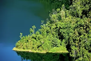 Michele Menegon: Montane Forest