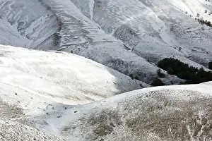 Monte: Monte Vettore snowy slopes Monti Sibillini National