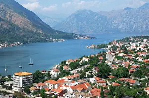 Kotor: Montenegro, Kotor. View of the city along