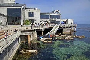 Monterey: Monterey Bay Aquarium