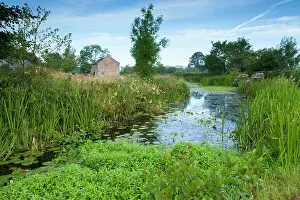 Canals: Montgomery Canal Summer