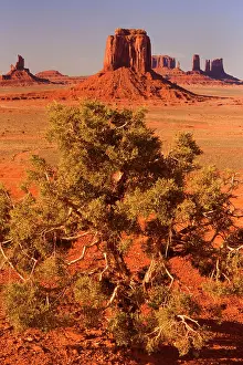 Artist: Monument Valley - from Artist Point - with Juniper