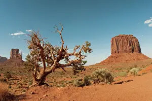 Tribal: Monument Valley Navaho Tribal Park