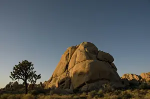 Joshua: Monzonite Granite, Joshua Tree NP