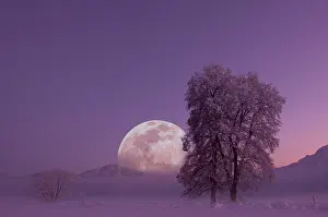 300517: Full moon with landscape in winter, Boggy area of