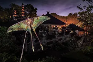 Gunung: Moon moth with temple in the background, Gunung