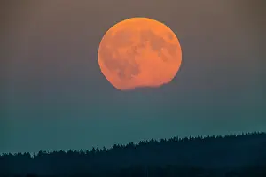 100820: Full Moon - rising above forest, Lower Saxony, Germany